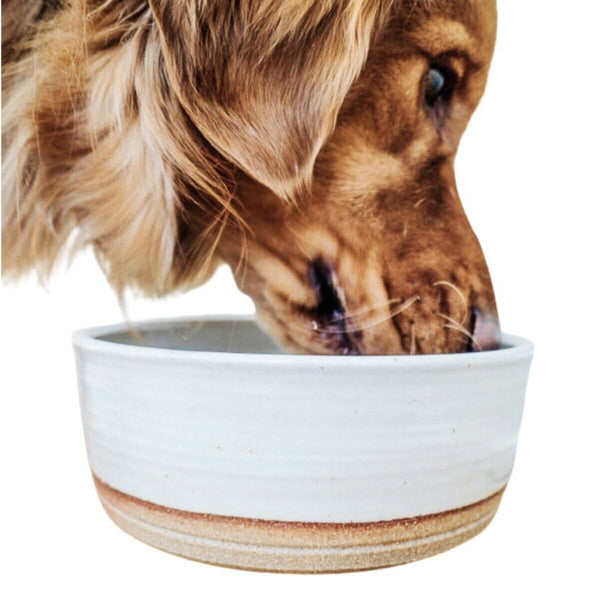 Stoneware Dog Bowls